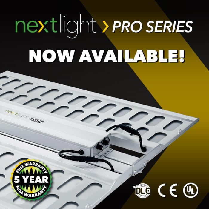 led grow light