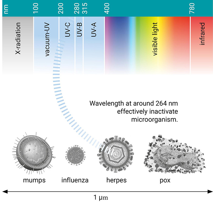 uv disinfection chart for bacteria and viruses